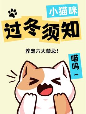 猫咪过冬须知