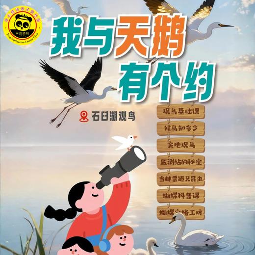 【我与小天鹅有个约·1日营】1.11 / 探秘石臼湖自然保护区，户外观鸟课堂，候鸟知多少，参观昆虫邮票博物馆，蝴蝶标本制作 商品图0