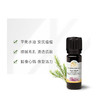 雅琪朵茶树精油10ml（天然植物原材料） 商品缩略图8