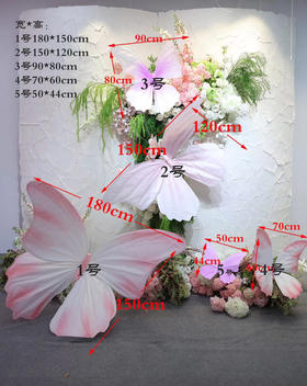 彩蝶组合（运费自理）