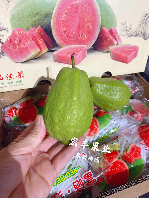 【宏丰精选】 红心芭乐，珍珠翻石榴 孕妇与老人水果 放软的口会更好，活动价15.8一斤 商品图11