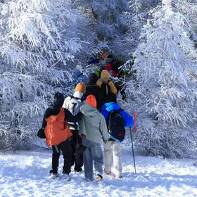 周三/周末/元旦1天【桦皮岭徒步98元】一幅油墨画の草原天路桦皮岭踏雪-9公里徒步穿越