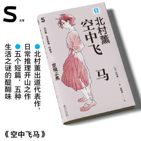 轻读文库第五辑S类 空中飞马 侦探推理小说