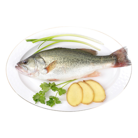 淡水鲈鱼（条）约500g