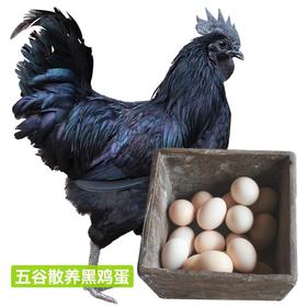 富硒黑鸡蛋25.8元1板30枚，次日到