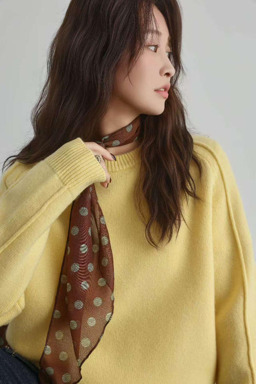 【团购 2025年 纯羊毛 圆领】多色 镶嵌金丝款 纯羊毛 羊毛衫 请手洗或轻柔机洗哦 柔软 亲肤 商品图5