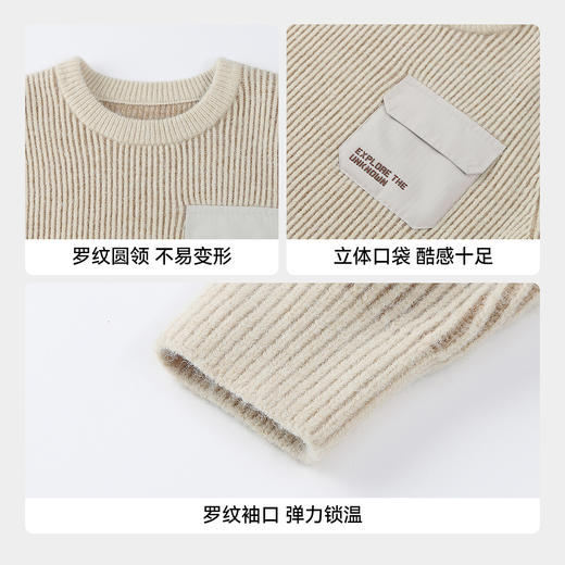【实体店同款】男童圆领针织衫冬季新款安奈儿童装AB544040 商品图4