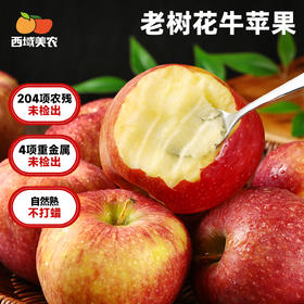 西域美农 老式花牛苹果 果香馥郁 粉润沙润 适合做苹果泥 72小时发货（果蔬生鲜签收24小时内保留完整包装面单可售后，超时不予理赔，拍下默认接受）