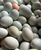 2025丹江口土鸡蛋 商品缩略图0