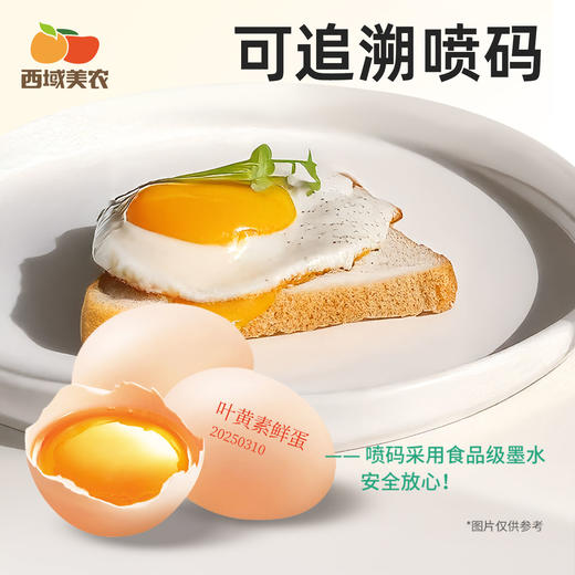 【FX】西域美农五星无抗鸡蛋/叶黄素可生食鸡蛋无抗生素 商品图6
