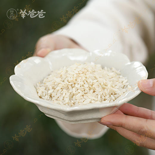 原产地发货【胚芽米】小小胚芽米 蕴含大营养，香甜软糯 营养好吸收 商品图7