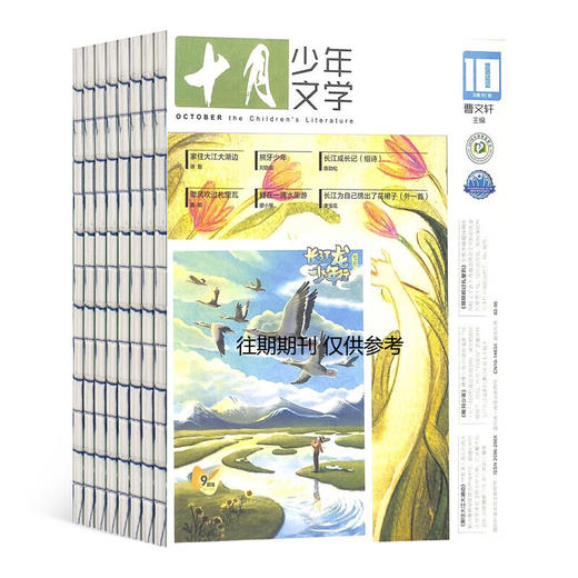 十月少年文学【2026年】整年刊 【下单48h会发赠品/订阅通知单，正刊需要26年才出刊后发出，共计12期，每月月初发当月】(AYB) 商品图2