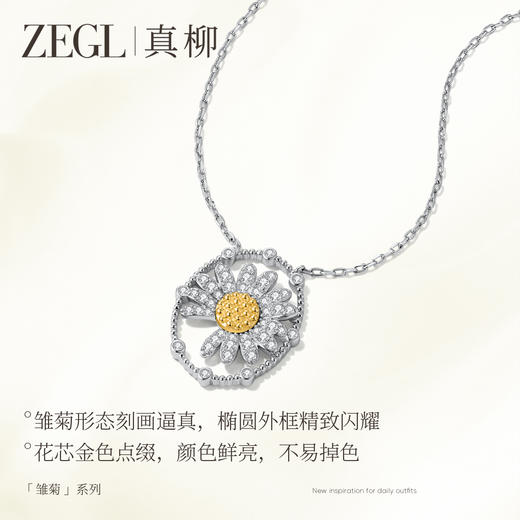 ZEGL雏菊系列花朵项链女款小众独特设计感锁骨链秋冬饰品精致颈链 商品图2