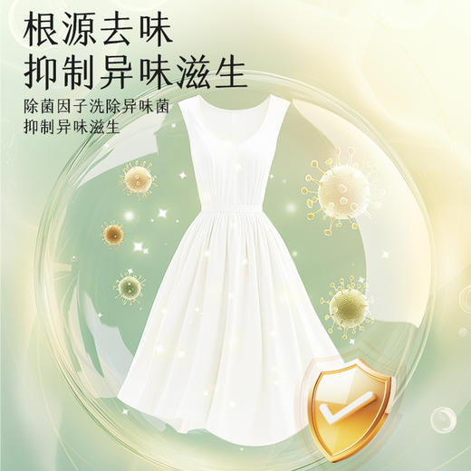 「5.2斤大包装！山茶花香」山茶花洗衣液5.2斤装居家日用实惠装留香衣物清洁工具 商品图2