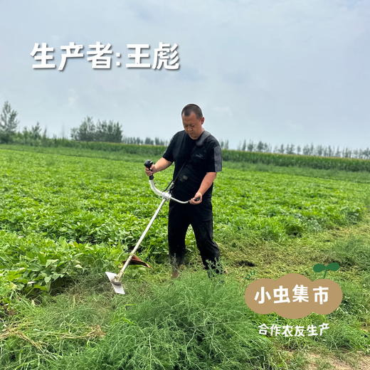 生态榴莲蜜薯/哈密白薯（红薯）5斤 | 合作农友种植，来自山西晋中，生产者：王彪 *【公平贸易农人定价】 商品图4