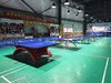 荣耀乒乓球俱乐部.单人10元3小时（不足3小时按3小时算） 商品缩略图0