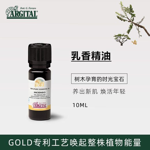 乳香精油10ml 商品图0