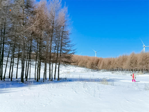 【麻田岭1日】河北小天山の徒步体验-麻田岭10公里小环穿 商品图4