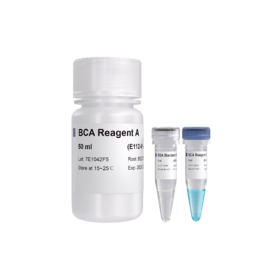 BCA Protein Quantification Kit