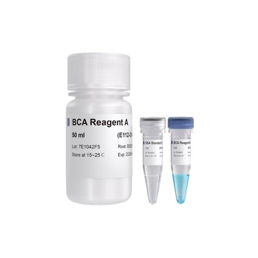 BCA Protein Quantification Kit 商品图0