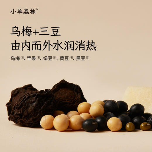 「乌梅三豆膏」（5袋装）清热补津液 古方复配 浇灭火苗 天然食材 酸甜可口 小包装随身带 商品图2