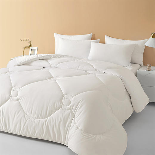 博洋家纺（BEYOND） 抑菌A类澳洲羊毛冬被（澳瑞白）200*230cm 商品图1