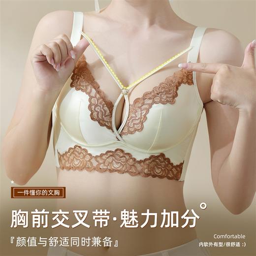 高奢缎面蕾丝调整型内衣 大胸显小聚拢提拉上托 295# 商品图8