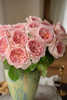 国产玫瑰-【妮可罗宾】 商品缩略图0