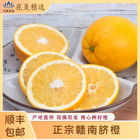 正宗赣南脐橙 产地直供 现摘先发 香甜多汁
