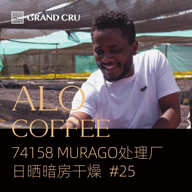 2025产季｜埃塞Alo暗房Murago处理厂｜#25批次 日晒暗房干燥 74158