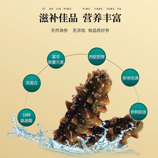 央珍即食海参大连鲜活鲜食辽参海生刺参深海速食礼盒包装一斤二斤三斤装 商品图2