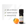 甜橙精油10ml 商品缩略图1