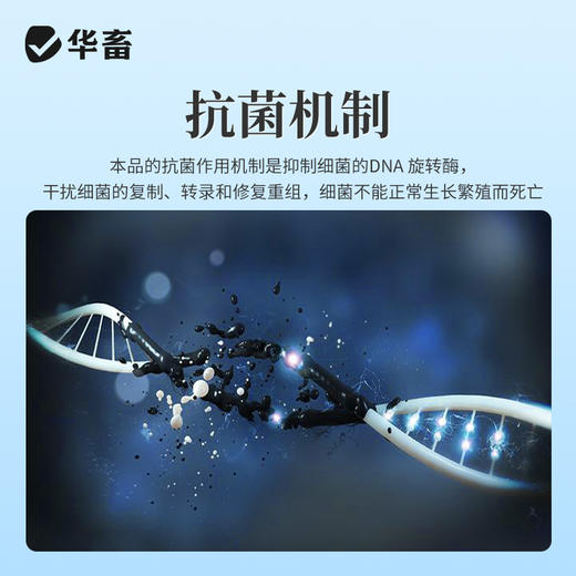 华畜兽用恩诺沙星咳嗽拉稀消炎鸡鸭鹅黄痢白痢支原体呼吸道兽药 商品图3