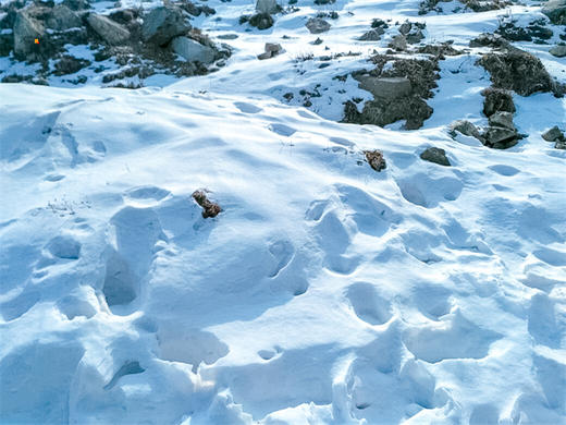 【东灵山1日】｜挑战北京最高峰2303-京西的“珠穆朗玛” 商品图3