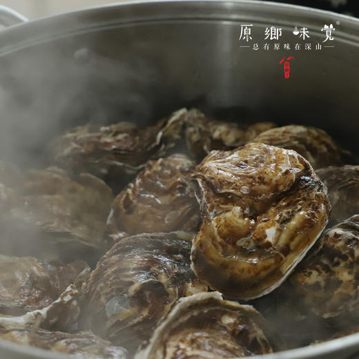 乳山深海生蚝（基地直发-顺丰包邮） | 多种规格，来自乳山，生产者：余锦涛【合作生产，公平贸易】 商品图11