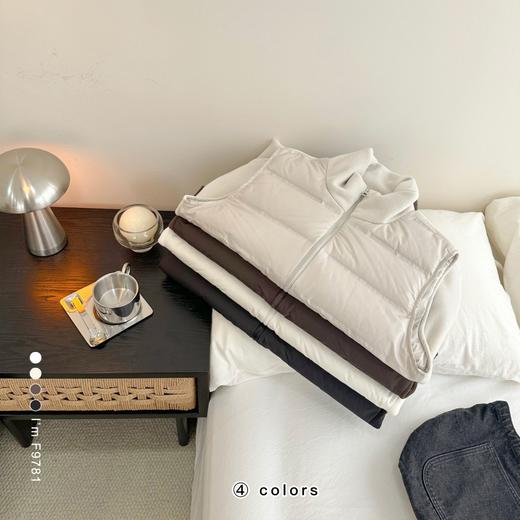 老米优品🎈3-5天《 新国标90白鸭绒 ☀ 摇粒绒拼接小轻绒保暖羽绒马甲》柔暖亲肤，防风暖护，炒好穿搭的羽绒服~WT251110A 商品图1