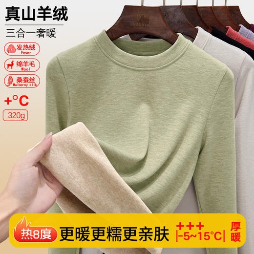 丁摩 圆领加绒打底衫女长袖内搭秋冬气质女装蚕丝羊毛保暖上衣5ZF-388 商品图0