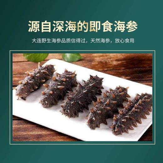 央珍即食海参大连鲜活鲜食辽参海生刺参深海速食礼盒包装一斤二斤三斤装 商品图3