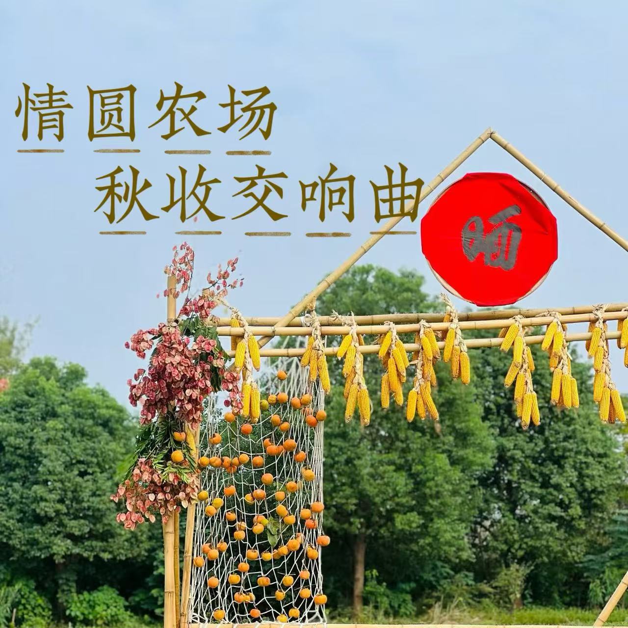 情圆农场-秋收交响曲