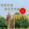 情圆农场-秋收交响曲 商品缩略图0