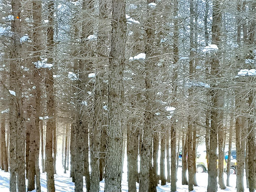 【麻田岭1日】河北小天山の徒步体验-麻田岭10公里小环穿 商品图5