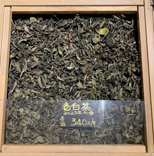 老白茶 商品图1