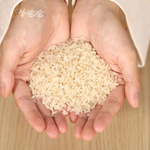 原产地发货【胚芽米】小小胚芽米 蕴含大营养，香甜软糯 营养好吸收 商品图6