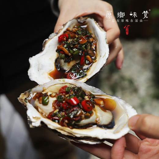 乳山深海生蚝（基地直发-顺丰包邮） | 多种规格，来自乳山，生产者：余锦涛【合作生产，公平贸易】 商品图13