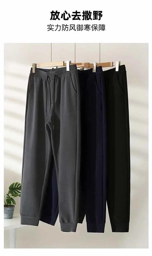【磨毛内层+蓄热空气层+防风抗寒层】耐尔羊毛蚕丝防风休闲男裤（W4094） 商品图1