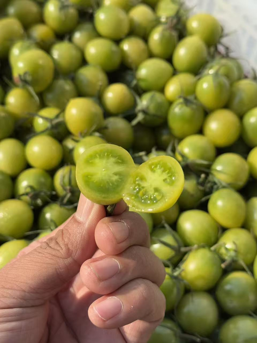 纯甜青色小柿子，惊艳口感来之不易，光是品种培育时间，就足足花了10年以上🌤️它有釜山88的风味又有千禧的甜度，可以说是纯甜，看着绿，吃起来一口爆汁的甜！2斤/盒