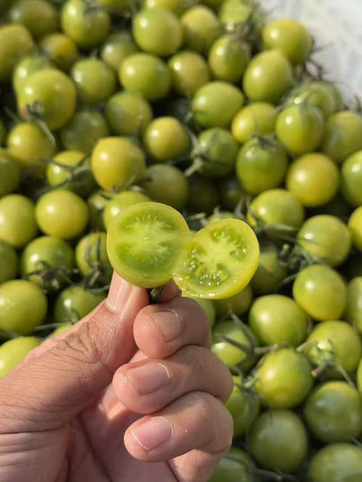 纯甜青色小柿子，惊艳口感来之不易，光是品种培育时间，就足足花了10年以上🌤️它有釜山88的风味又有千禧的甜度，可以说是纯甜，看着绿，吃起来一口爆汁的甜！2斤/盒 商品图0