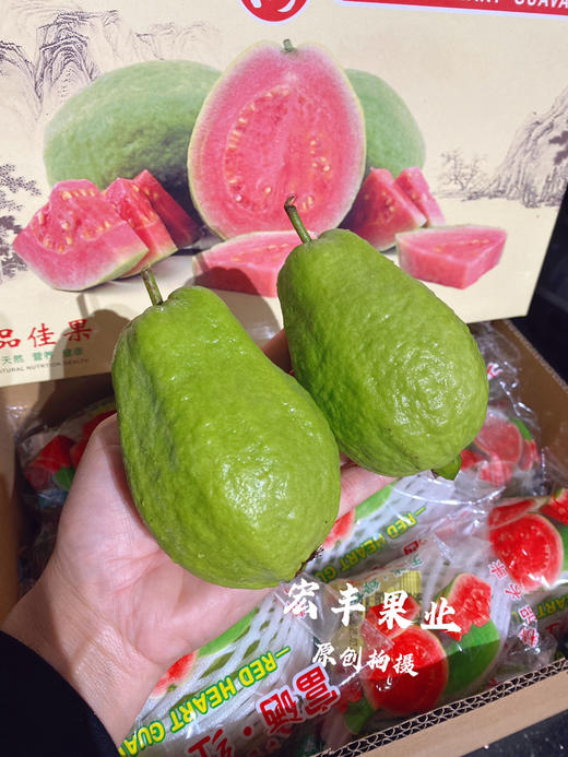 【宏丰精选】 红心芭乐，珍珠翻石榴 孕妇与老人水果 放软的口会更好，活动价15.8一斤 商品图6