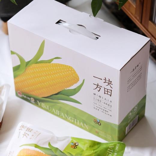 一块方田甜糯玉米【多送1根12月31日结束】 商品图3