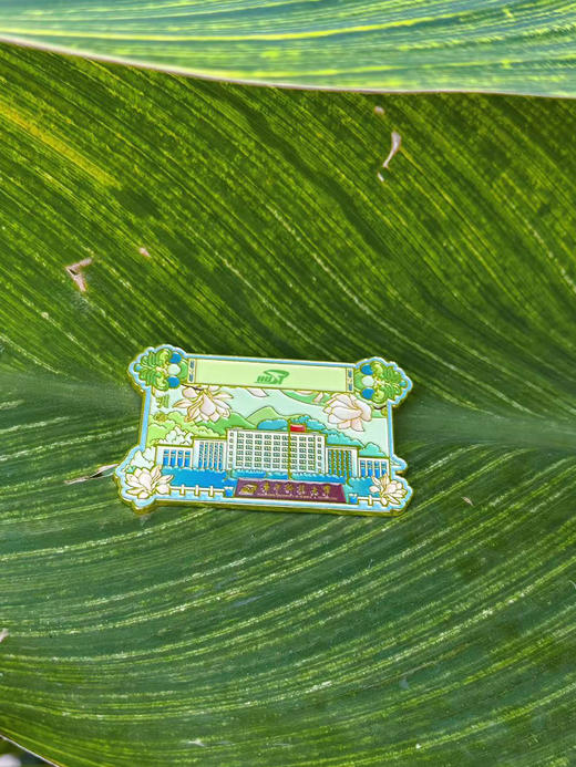 华科大卷轴拼图冰箱贴套盒（共四枚） 商品图7